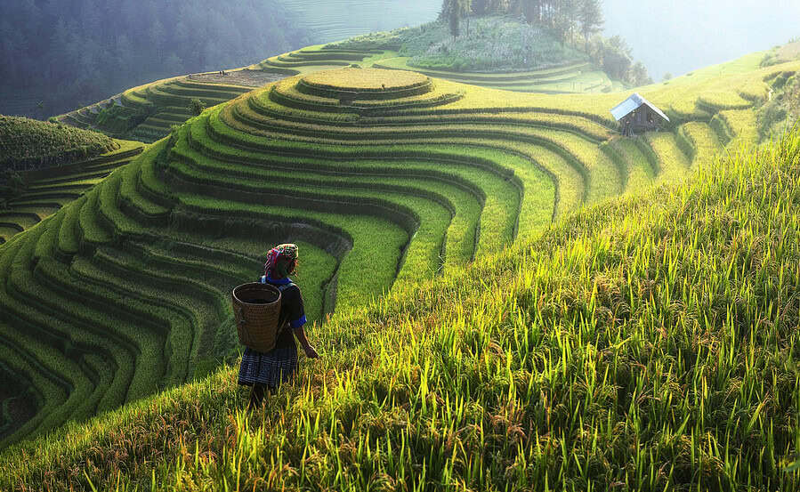 Vietnam