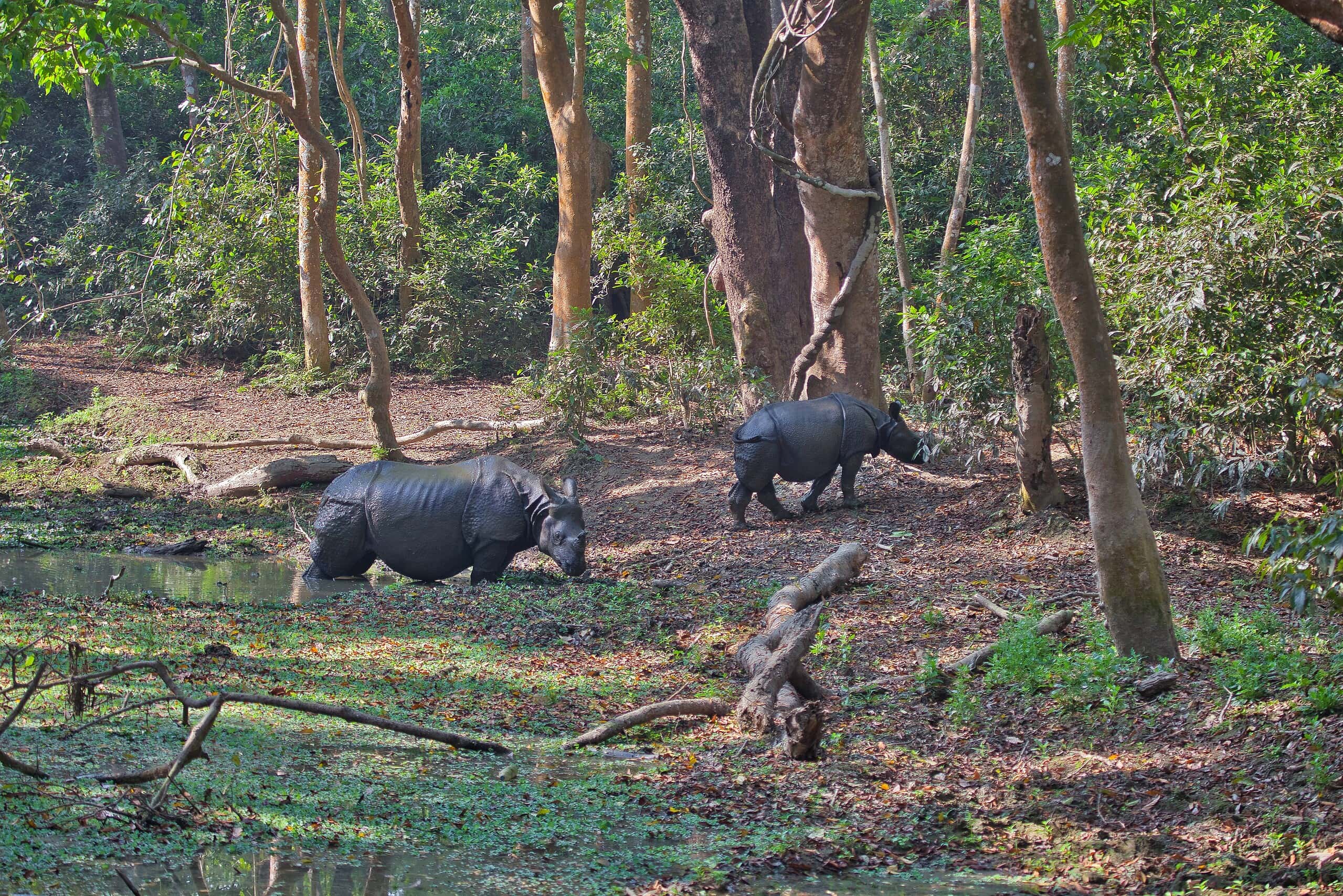 Národný park Chitwan