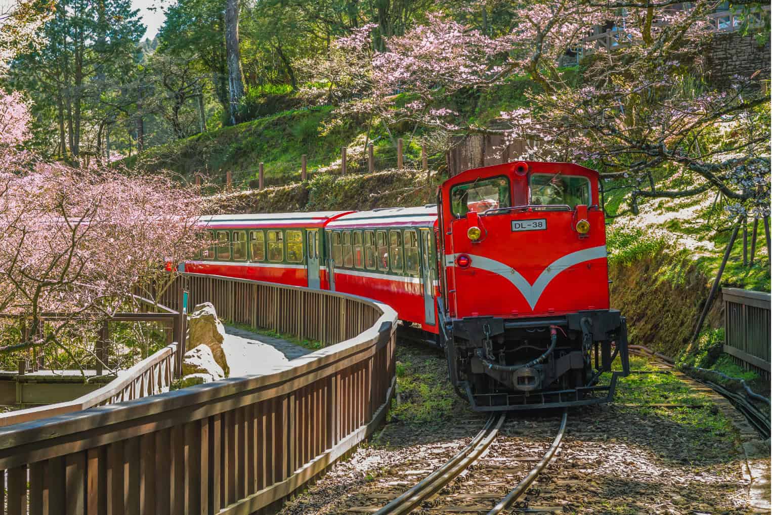 Alishan Forest Railway, Taiwan
