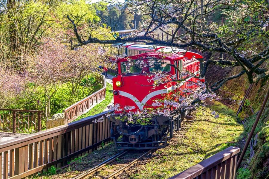 Alishan Forest Railway, Taiwan