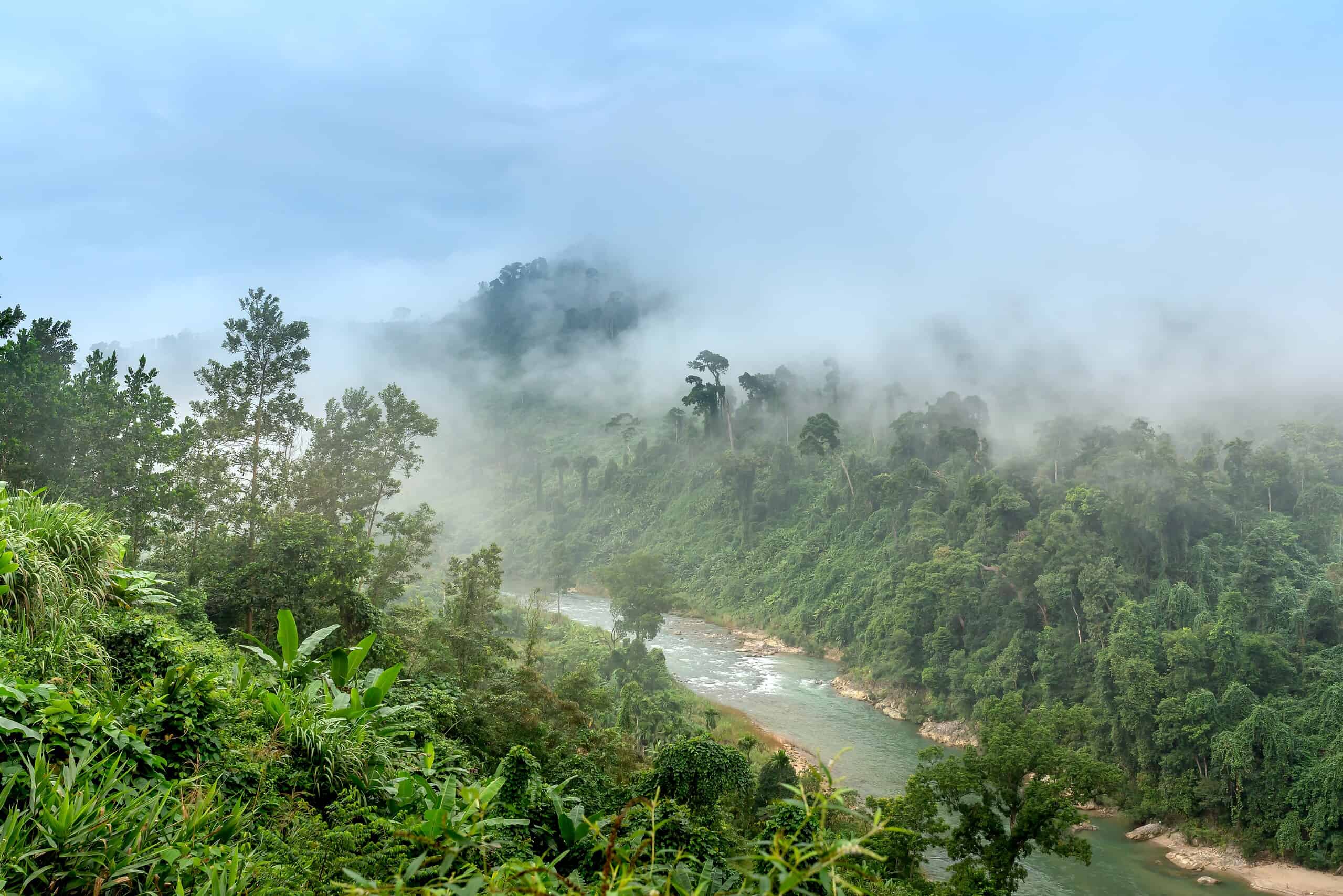 Safari na rieke Kinabatangan