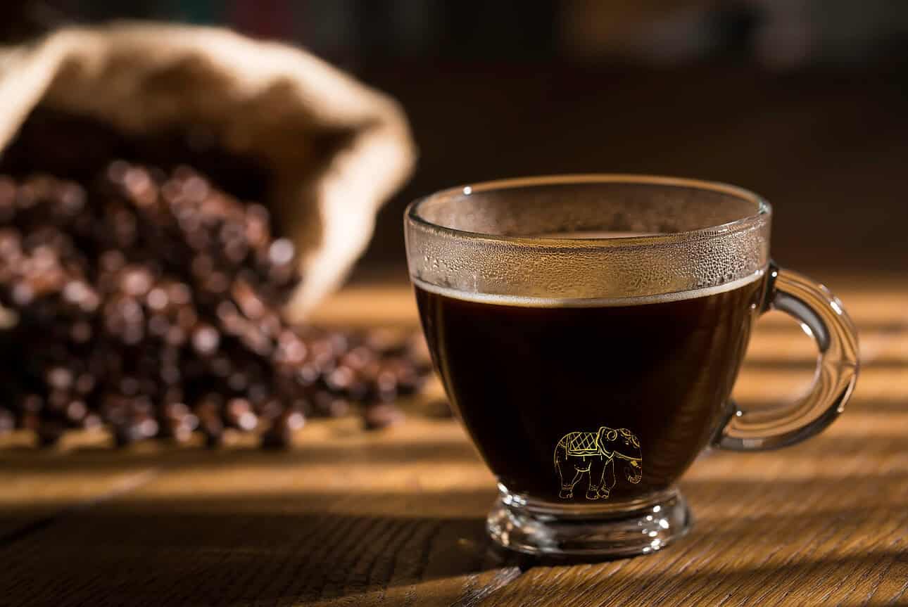 Black Ivory Coffee, Thailand